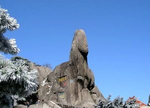 黄山奇石之狮子抢球仙女弹琴天狗望月图片