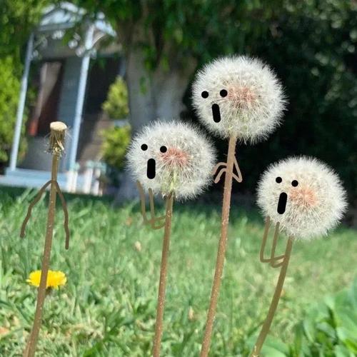 向往积极生活的搞怪头像
