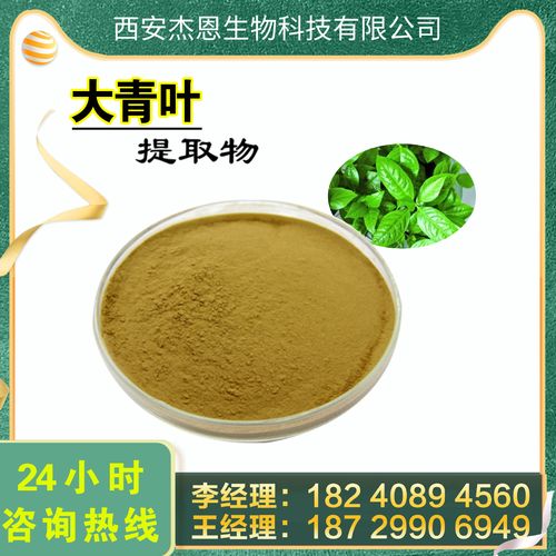 大青叶提取物10:1厂家直销大青叶粉原料产地货源现货大青叶提取物