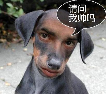 请问我帅吗?哈哈哈