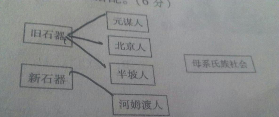 元谋人,北京人处于母系氏族社会,半坡人,河姆渡人处于父系氏族社会.