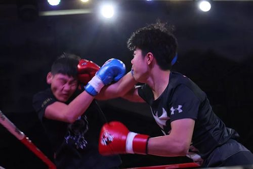 我就是拳王全国总决赛:潘晓东高鞭腿ko 黄佳瑞胜利归来