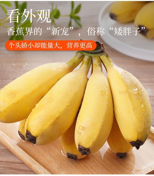 广东苹果蕉新鲜现摘孕妇水果0添加剂苹果蕉香蕉粉蕉小米蕉西贡蕉