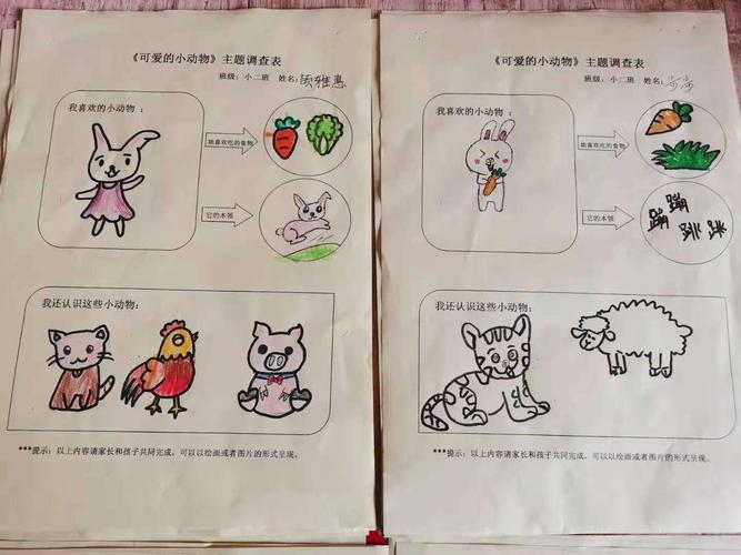 《可爱的小动物》调查表