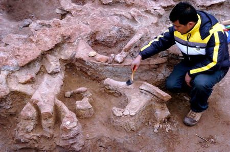 河南汝阳发现较完整恐龙化石(转载)(转载)