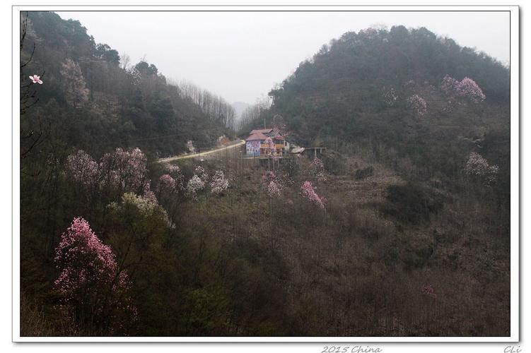 四川江油吴家后山自驾旅游攻略,不该错过的美景,鲜花