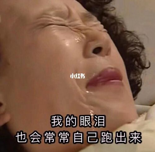 搞笑一家人/罗文姬表情包分享!_表情包_搞笑_表情包分享_素材_表情包