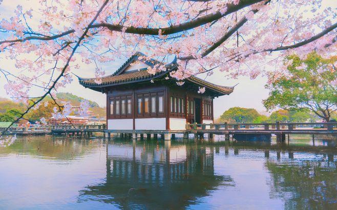 樱花季 风光 春天 西湖 樱花 杭州 7mx年度摄影大奖赛—我的2017 建筑