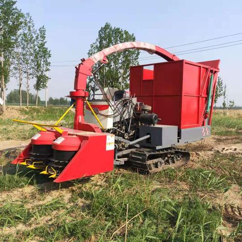 定做小型青储机 玉米秸杆皇竹草甜高粱收割机 山地丘陵履带青储机