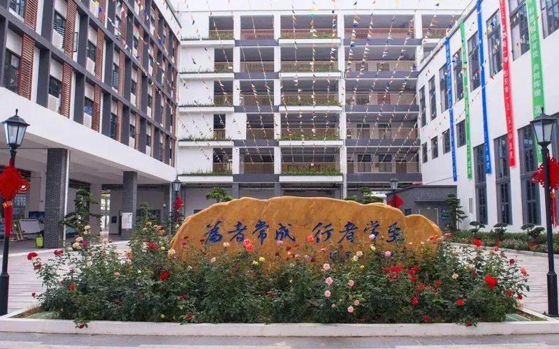 遇见罗高:不一样的学校,成就不一样的你_深圳新闻网