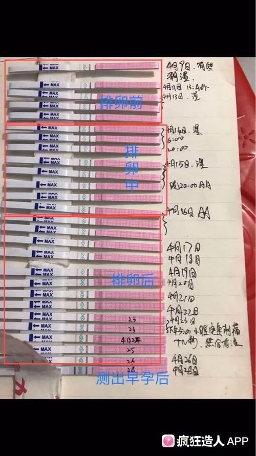 排卵试纸阳就一定怀孕吗?白板就不会吗?