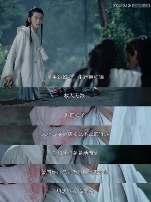 叶白衣要杀温客行,温客行受重伤,周子舒上前替罚