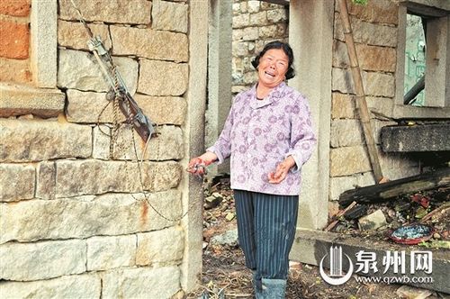 泉州台商投资区两头耕牛蹊跷死亡 六旬阿婆伤心落泪