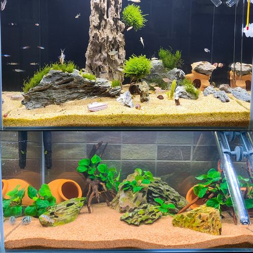 河沙鱼缸底砂造景沙石子天然黄沙净水装饰白沙彩石水草缸铺底细沙
