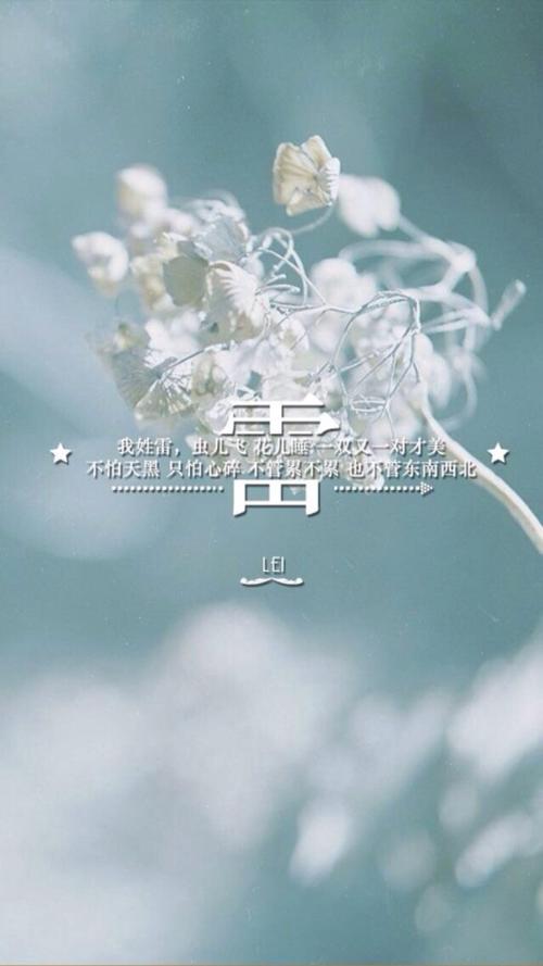 (by拖沓囍天王)姓氏壁纸-我姓雷