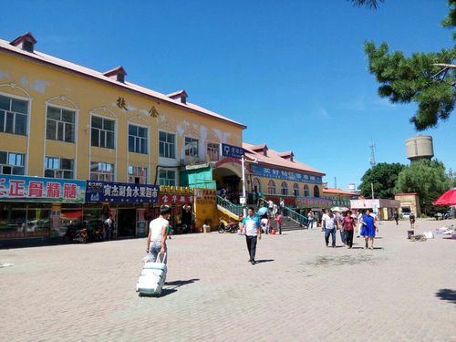 扶余火车站——不大的地方,站内没有卫生间,要是方便得出站,那有收费