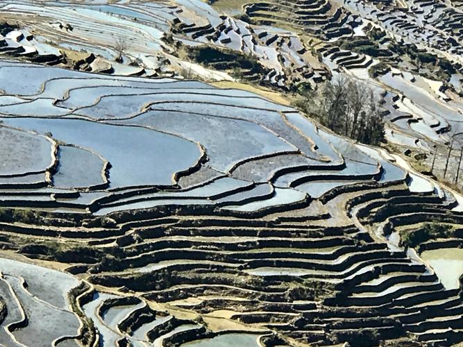 茶山梯田
