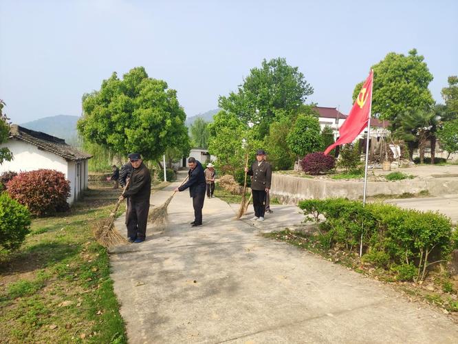 宜秀区罗岭镇黄梅村多措并举助力乡村振兴
