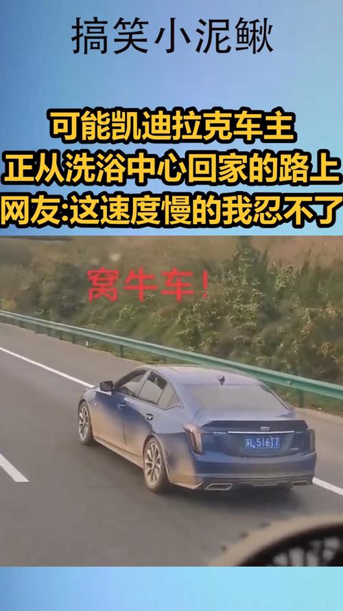 我搞笑你开心可能凯迪拉克车主正从洗浴中心回家的路上网友这速度慢的