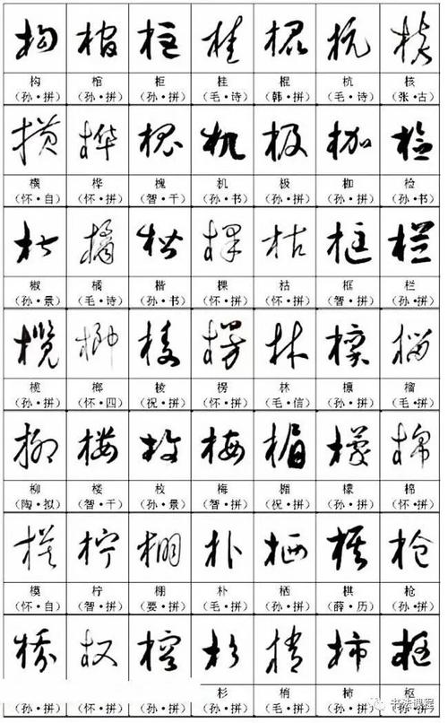 教材学习草书的乐趣名帖名家草书字帖范字