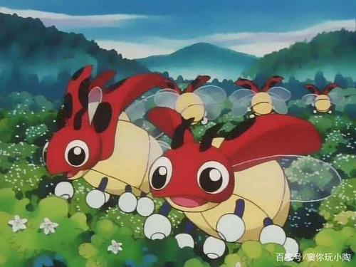 165,no.166——芭瓢虫,安瓢虫