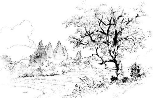 创作素材 / 参考资料 风景线稿. a477f00f687e9f0e6059f38c.jpg 1