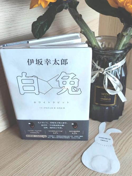 除了感动之外,还有温情和温暖,在我看来,这是伊坂幸太郎的魔力.