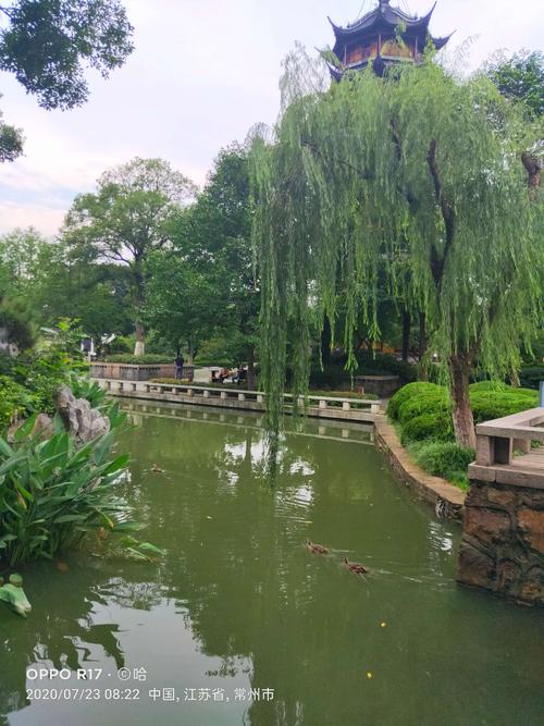 常州红梅公园的夏天!