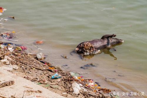 印度恒河水有多脏?上游往河里抛尸排便,下游还当圣水饮用!
