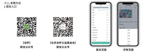 龙杯第二十五届全国中小学生绘画书法作品比赛