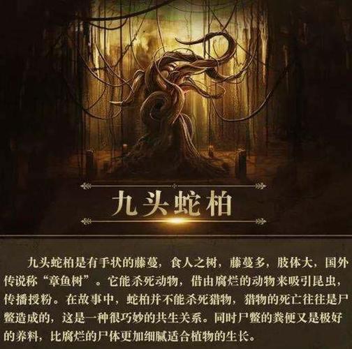 九头蛇柏真的存在吗:沙海九头蛇柏现实中的原型是什么