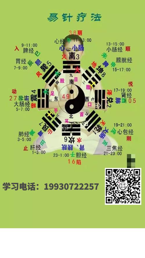 陈红易针八卦针脐针腹针培训班200元