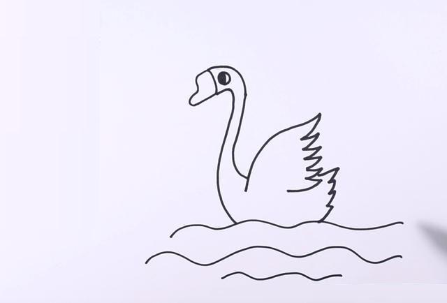 2,再画出白鹅漂亮的翅膀,紧接着画出它的尾巴,画出波浪线