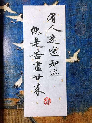 有人迷途知返,便是苦尽甘来|手写