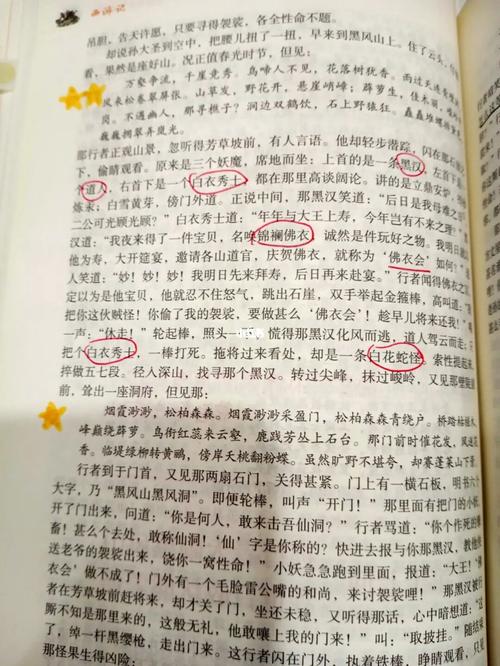 《西游记》十七回批注