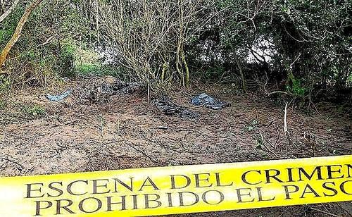 墨西哥毒枭常年往森林里抛尸,导致森林恶臭难闻,满地人体残骸