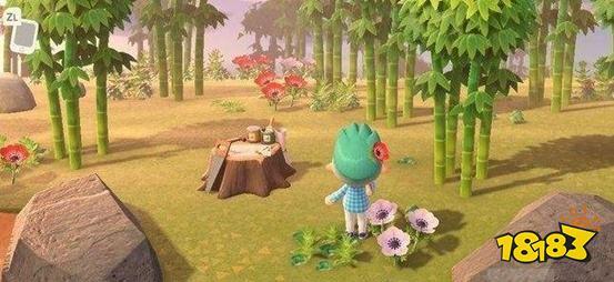 在外出旅行时有概率碰到竹子岛,在挖出竹笋种到自己岛之后即可获得1