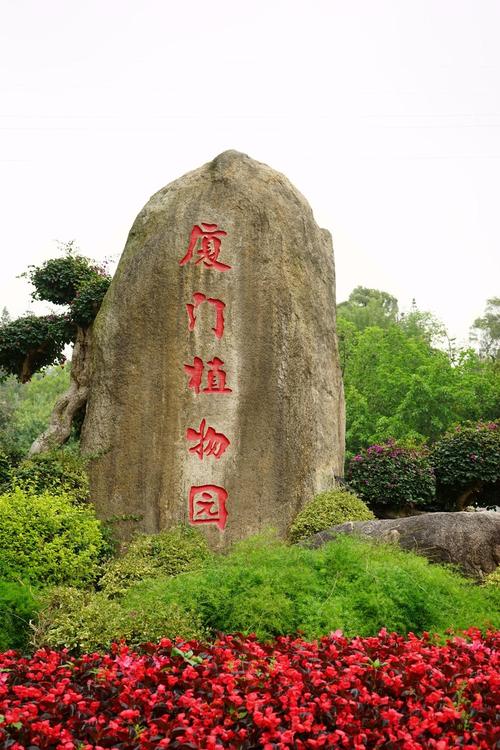 厦门植物园,真的好大,没有时间全部看完,只看了雨林世界和多肉植物区