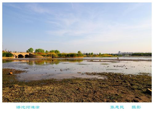 美丽的家乡一一滹沱河