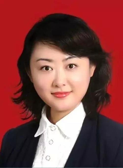 任县,河北金融学院,杨蕾,80后,女县长