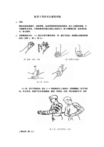 肱骨干骨折康复训练.doc