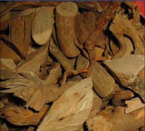 黄根(狗骨木,白狗骨,黑根子) 对比