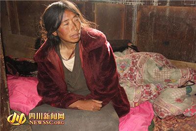一楼 【开栏语】 11月10日,就在人们摩拳擦掌准备次日进行一番豪购时