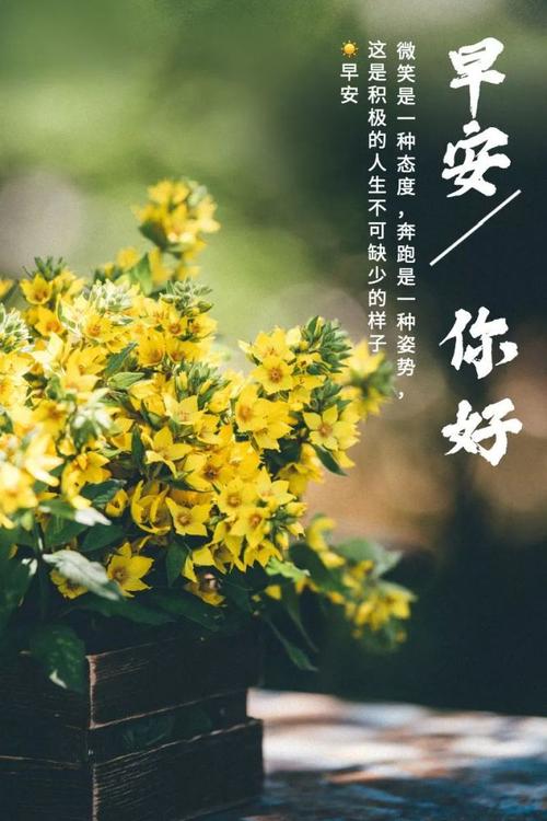 周六早安心语正能量说说感悟 微信最暖心的早上好图片带字 早上好阳光