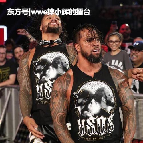 wwe摔小辉新闻前双打冠军乌索兄弟因为被捕将退出夏日