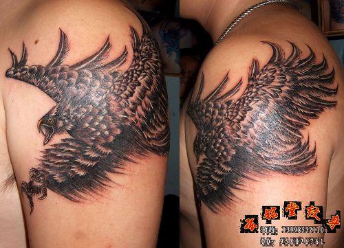大连纹身上臂鹰大展宏图纹身