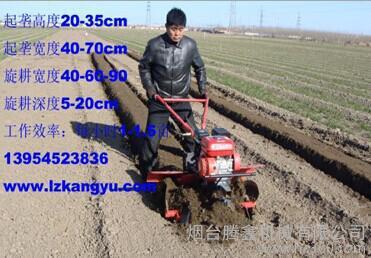 草莓花生红薯细化大棚专用微型起垄机