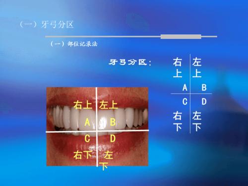 临床牙位的记录方法
