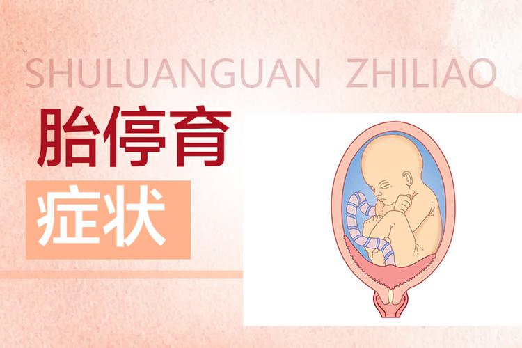 胎停育有什么症状吗
