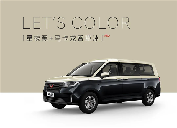 超大空间五菱全新9座mpv上市758万起